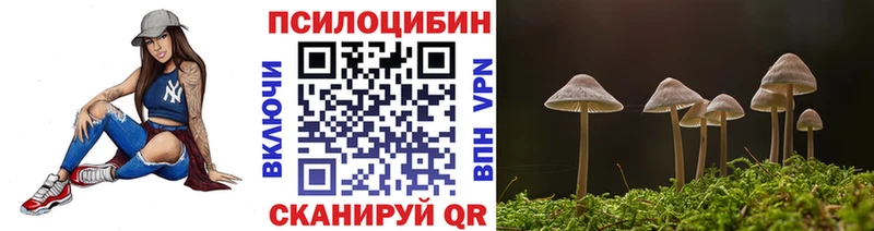 Псилоцибиновые грибы Cubensis  Таганрог 